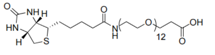 BIOTIN-十二聚乙二醇-丙酸,Biotin-PEG12-Acid