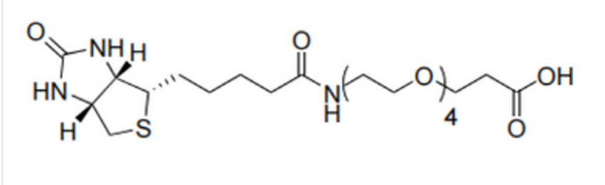 4,7,10,13-Tetraoxa-16-azaheneicosanoic acid, 21-(hexahydro-2-oxo-1H-thieno[3,4-d]imidazol-4-yl)-17-oxo-