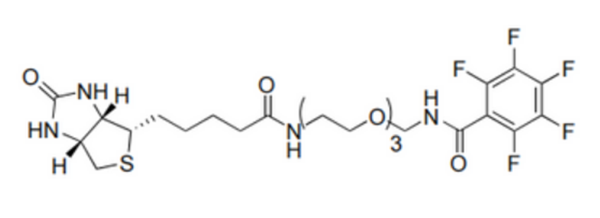 Biotin-dPEG3-TFPA
