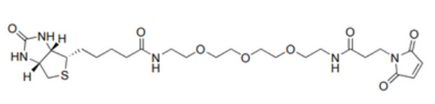1H-Thieno[3,4-d]imidazole-4-pentanamide, N-[17-(2,5-dihydro-2,5-dioxo-1H-pyrrol-1-yl)-15-oxo-4,7,10-trioxa-14-azaheptadec-1-yl]hexahydro-2-oxo-