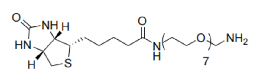 生物素-八聚乙二醇-氨基,Biotin-PEG7-NH2