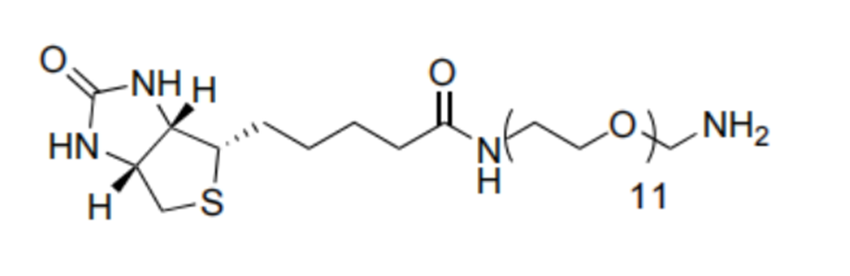 1H-Thieno[3,4-d]imidazole-4-pentanamide, N-(35-amino-3,6,9,12,15,18,21,24,27,30,33-undecaoxapentatriacont-1-yl)hexahydro-2-oxo-