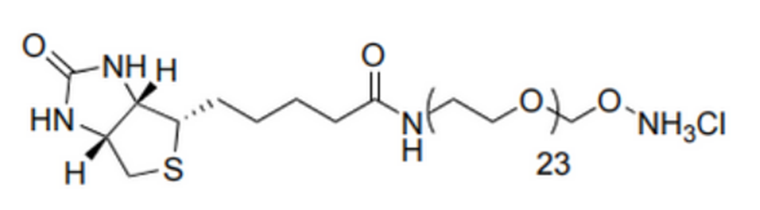 Biotin-dPEG-oxyamine. HCl