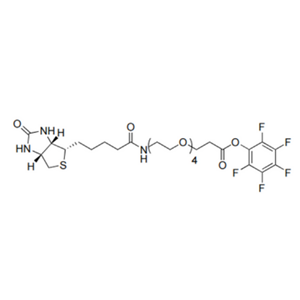 Biotin-dPEG4-TFP ester