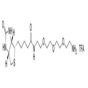 Biotin-dPEG3-NH+TFA-