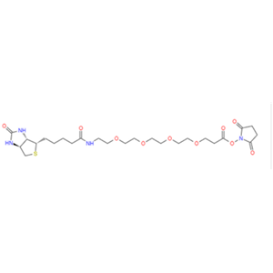 (+)-Biotin-PEG4-NHS Ester