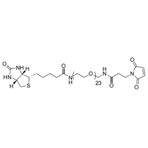 BIOTIN-十一聚乙二醇-马来酰亚胺丙酰胺