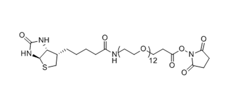 Biotin-PEG12-NHS ester