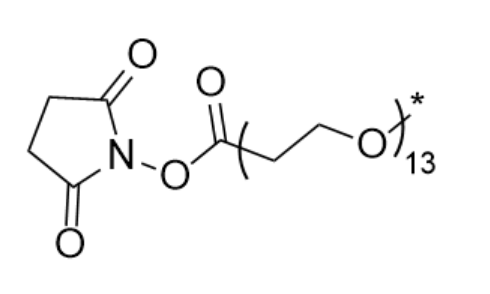 m-dPEG13-NHS ester
