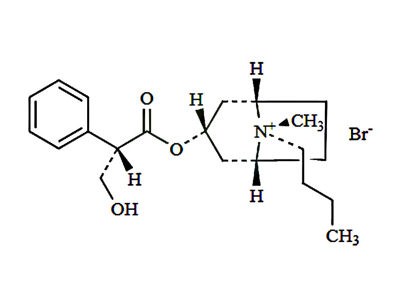 丁溴東莨菪堿EP雜質(zhì)H,Hyoscine Butylbromide EP Impurity H Bromide