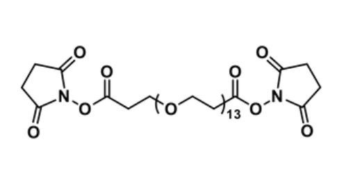 Bis-dPEG13-NHS ester