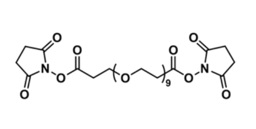 双取代丙烯酸琥珀酰亚胺酯-二十四聚乙二醇,Bis-dPEG9-NHS ester