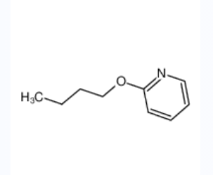 2-正丁氧基吡啶,2-N-BUTOXYPYRIDINE