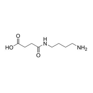 Butanoic acid, 4-[(4-aminobutyl)amino]-4-oxo-