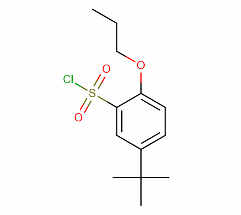 5-(tert-Butyl)-2-propoxybenzene-1-sulfonyl chloride