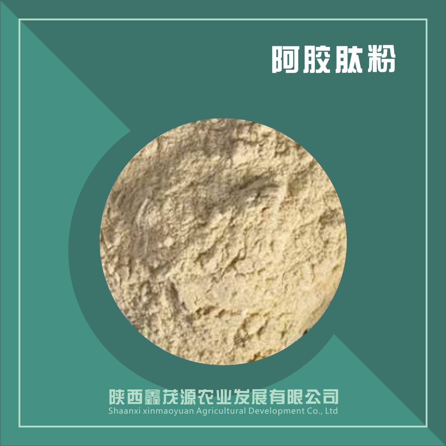 阿胶肽粉,4/5000  Gelatin peptide powder