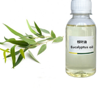 桉叶油,Eucalyptus oil