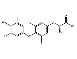 L-甲状腺素,L-Thyroxine