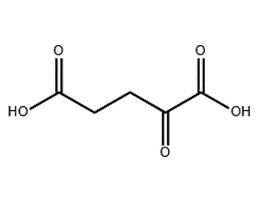 α-酮戊二酸,2-Ketoglutaric acid