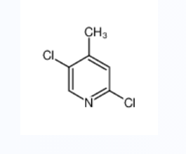 2,5-二氯-4-甲基吡啶,2,5-DICHLORO-4-METHYLPYRIDINE