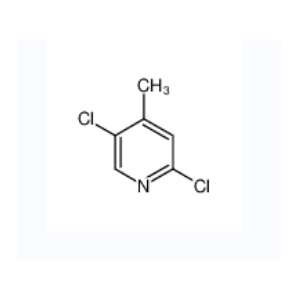 2,5-二氯-4-甲基吡啶,2,5-DICHLORO-4-METHYLPYRIDINE