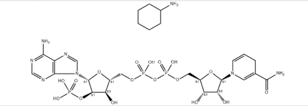 还原型辅酶II四环己胺盐,NADPH (tetracyclohexanamine)