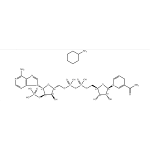 还原型辅酶II四环己胺盐