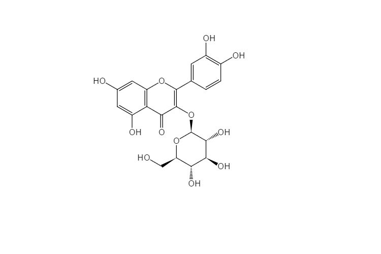 槲皮素-3'-O-葡萄糖苷,Isoquercitrin