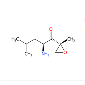 (2S)-2-氨基-4-甲基-1-((2R)-2-甲基环氧乙烷基)-1-戊酮