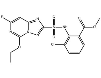 氯酯磺草胺,CloransulaM Methyl