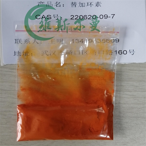 替加环素,Tigecycline