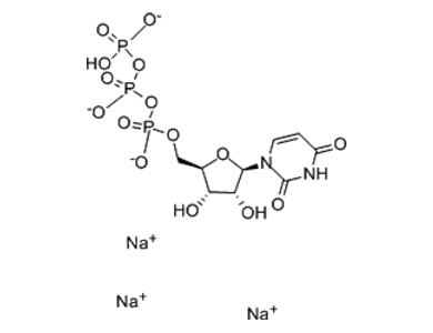三磷酸尿苷三钠,Uridine-5'-triphosphoric acid trisodium salt