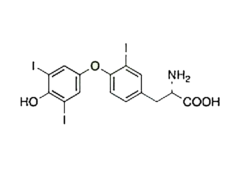 左甲状腺素钠EP杂质K,Levothyroxine EP Impurity K