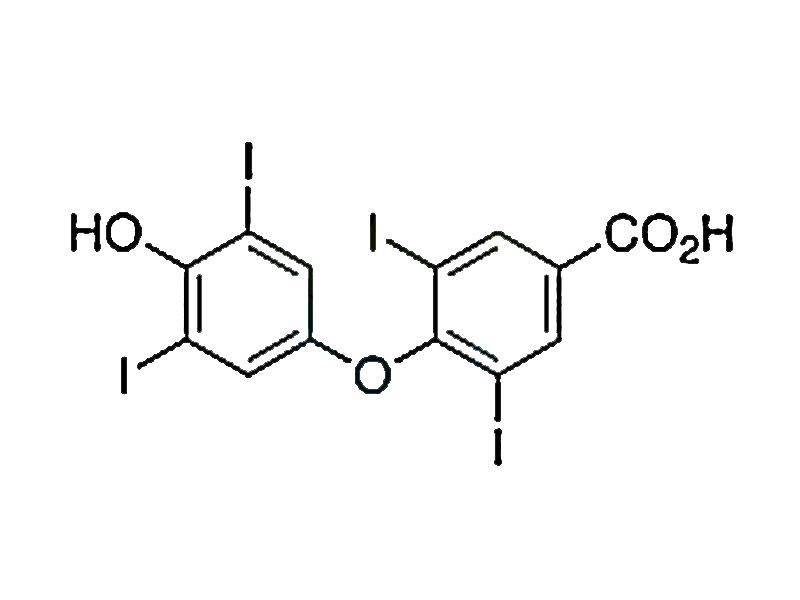 左旋甲状腺素钠杂质H,Levothyroxine EP Impurity H