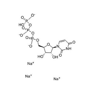 三磷酸尿苷三钠,Uridine-5