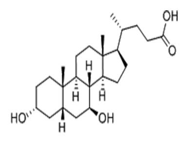 熊去氧胆酸,Ursodeoxycholic acid