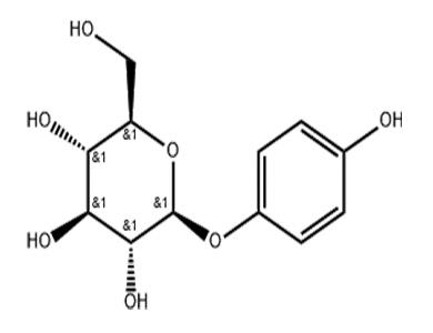 熊果苷,Arbutin