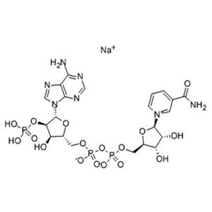 β-烟酰胺腺嘌呤二核苷酸磷酸钠盐—1184-16-3