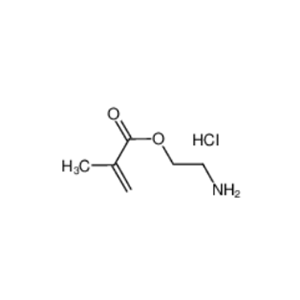 甲基丙烯酸 2-氨基乙基酯盐酸盐