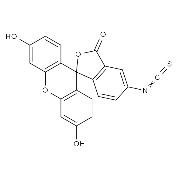 异硫氰酸荧光素酯,Fluorescein isothiocyanate isomer I