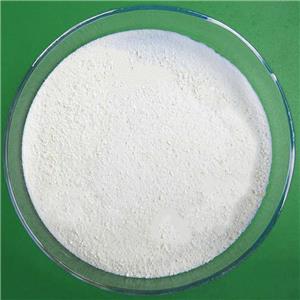 盐酸洛哌丁胺,Loperamidehydrochloride