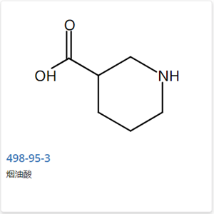 3-哌啶甲酸,Nipecotic acid