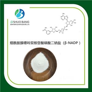 β烟酰胺腺嘌呤二核苷酸磷酸二钠盐,β-Nicotinamide Adenine Dinucleotide Phosphate disodium salt