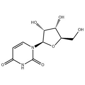 尿苷,Uridine