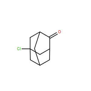 5-氯-2-金刚烷酮,5-CHLORO-2-ADAMANTANONE