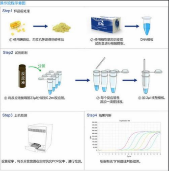 圣保羅沙門氏菌探針法熒光定量PCR試劑盒,Salmonella saintpaul