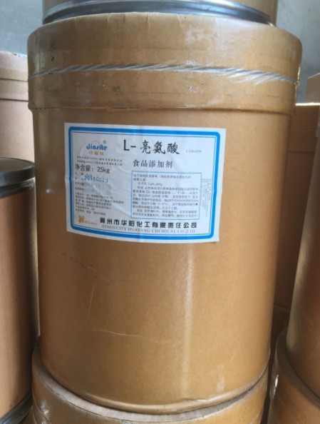 亮氨酸,Leucine