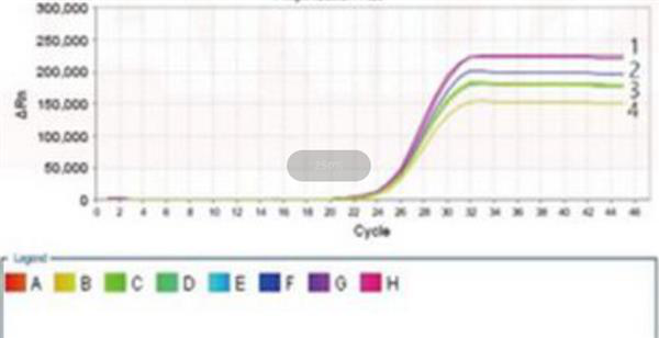 甲型副傷寒沙門氏菌探針?lè)晒舛縋CR試劑盒,Salmonella paratyphi A