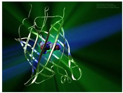 肌氨酸甲酯鹽酸鹽,Sarcosine methyl ester hydrochloride