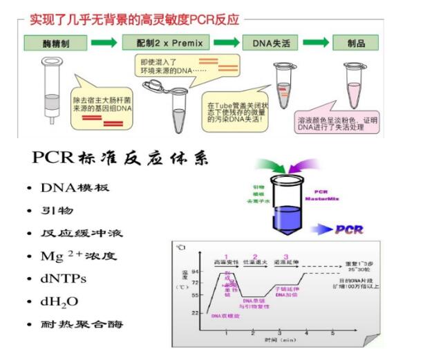 甲型肝炎病毒(HAV)核酸定量试剂盒